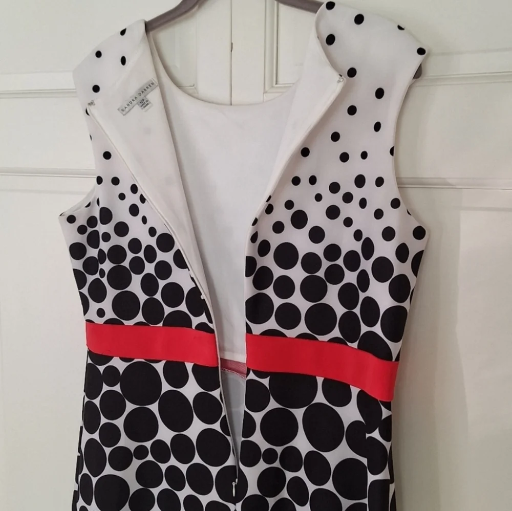 Sandra Darren fit & flare polka dot dress - Picture 4 of 6